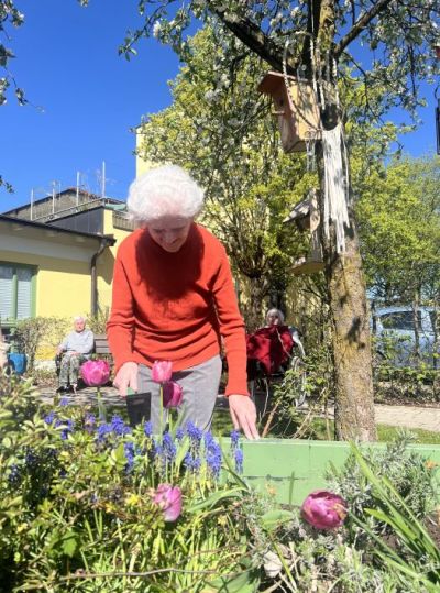 Hochbeet Bepflanzung – Bild 1